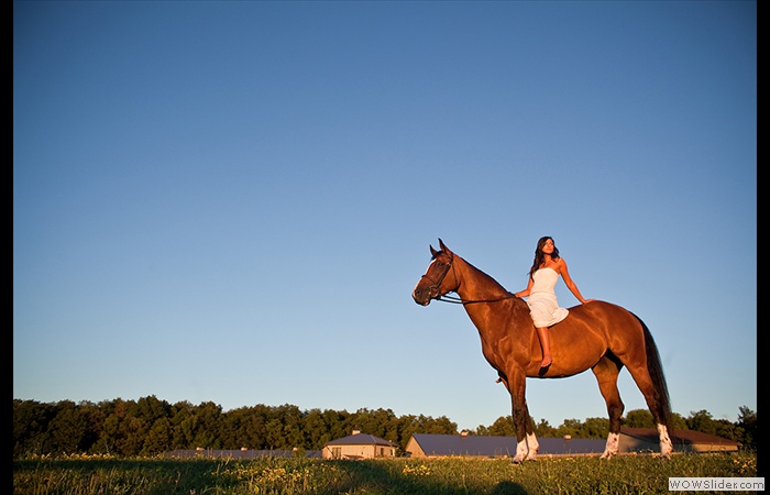 Rochester NY Senior Portrait Equestrian Photographer